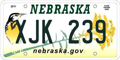 NE license plate XJK239