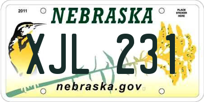 NE license plate XJL231