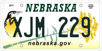 NE license plate XJM229