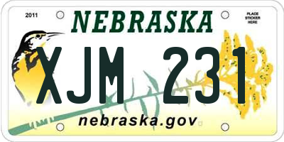 NE license plate XJM231