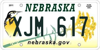 NE license plate XJM617