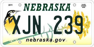 NE license plate XJN239