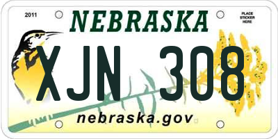 NE license plate XJN308