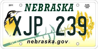NE license plate XJP239