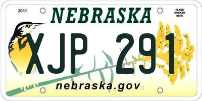NE license plate XJP291