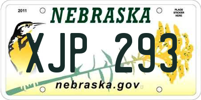 NE license plate XJP293