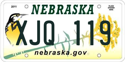 NE license plate XJQ119