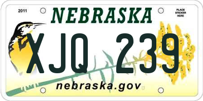 NE license plate XJQ239