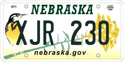 NE license plate XJR230