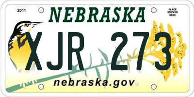 NE license plate XJR273