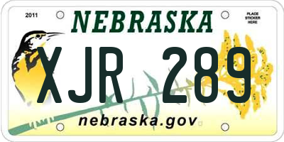 NE license plate XJR289