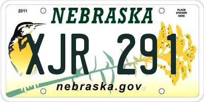 NE license plate XJR291