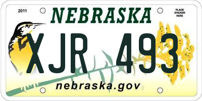 NE license plate XJR493
