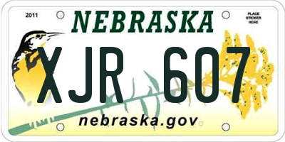 NE license plate XJR607