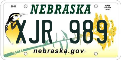 NE license plate XJR989