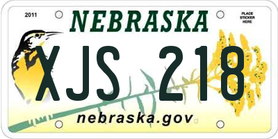 NE license plate XJS218