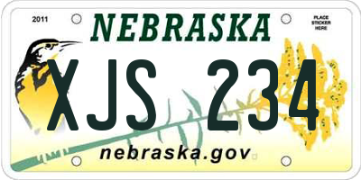 NE license plate XJS234