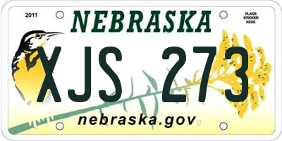 NE license plate XJS273
