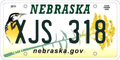 NE license plate XJS318