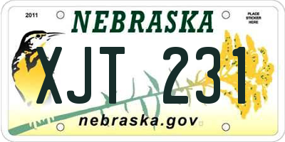 NE license plate XJT231