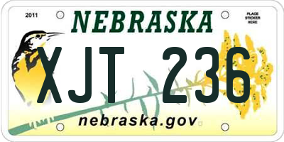 NE license plate XJT236