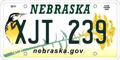 NE license plate XJT239
