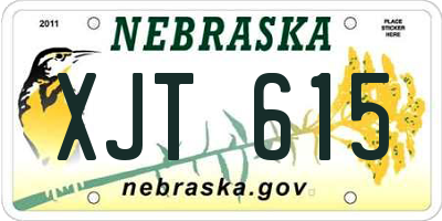 NE license plate XJT615