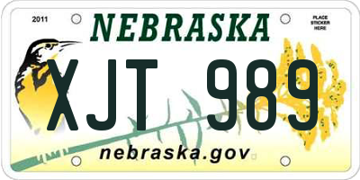 NE license plate XJT989