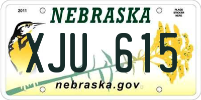 NE license plate XJU615