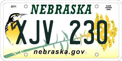 NE license plate XJV230