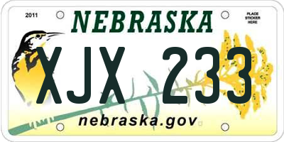 NE license plate XJX233