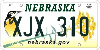 NE license plate XJX310