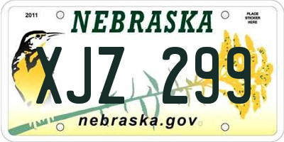 NE license plate XJZ299