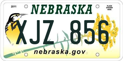 NE license plate XJZ856