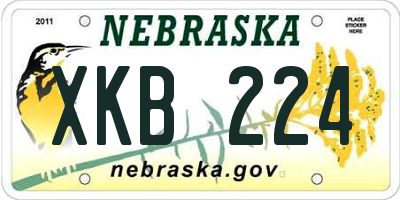 NE license plate XKB224