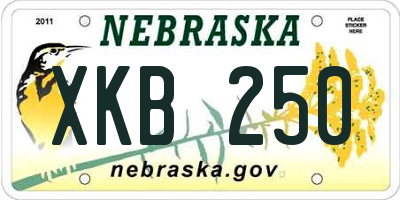 NE license plate XKB250