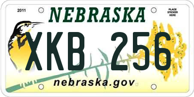 NE license plate XKB256