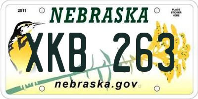 NE license plate XKB263