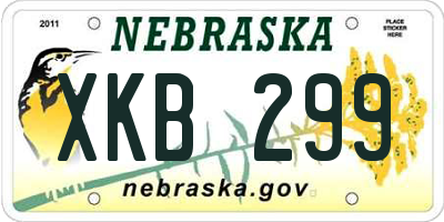 NE license plate XKB299
