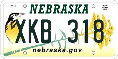 NE license plate XKB318