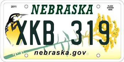 NE license plate XKB319