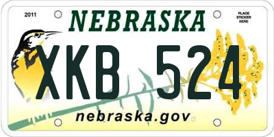 NE license plate XKB524