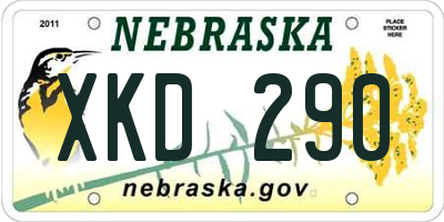 NE license plate XKD290