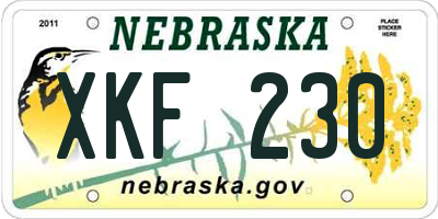NE license plate XKF230