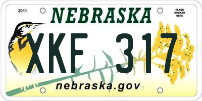 NE license plate XKF317
