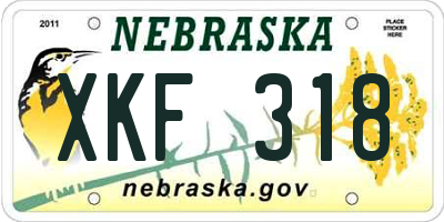 NE license plate XKF318