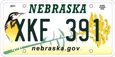 NE license plate XKF391