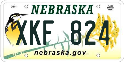 NE license plate XKF824