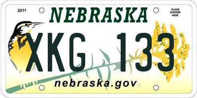 NE license plate XKG133