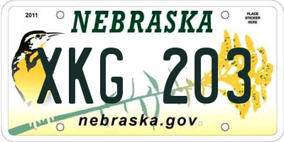 NE license plate XKG203